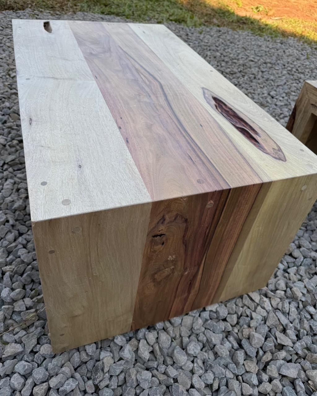 Ratona en Canela breya Ratona en Canela Breya - Image 1